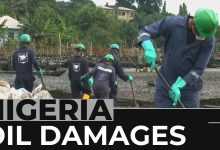 environmental damage from Ogoni oil