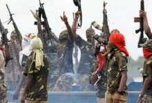 niger delta militants