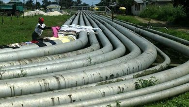 niger delta pipelines
