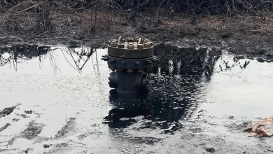 Yorla Well Head, Ogoni