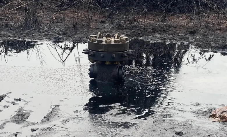 Yorla Well Head, Ogoni